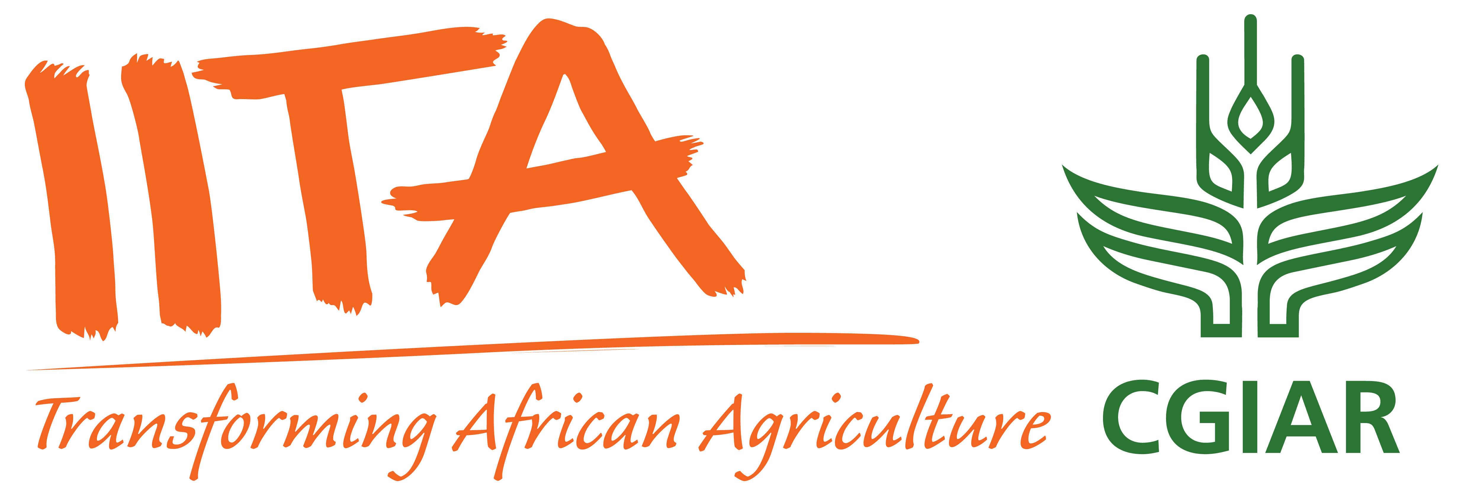 IITA Logo